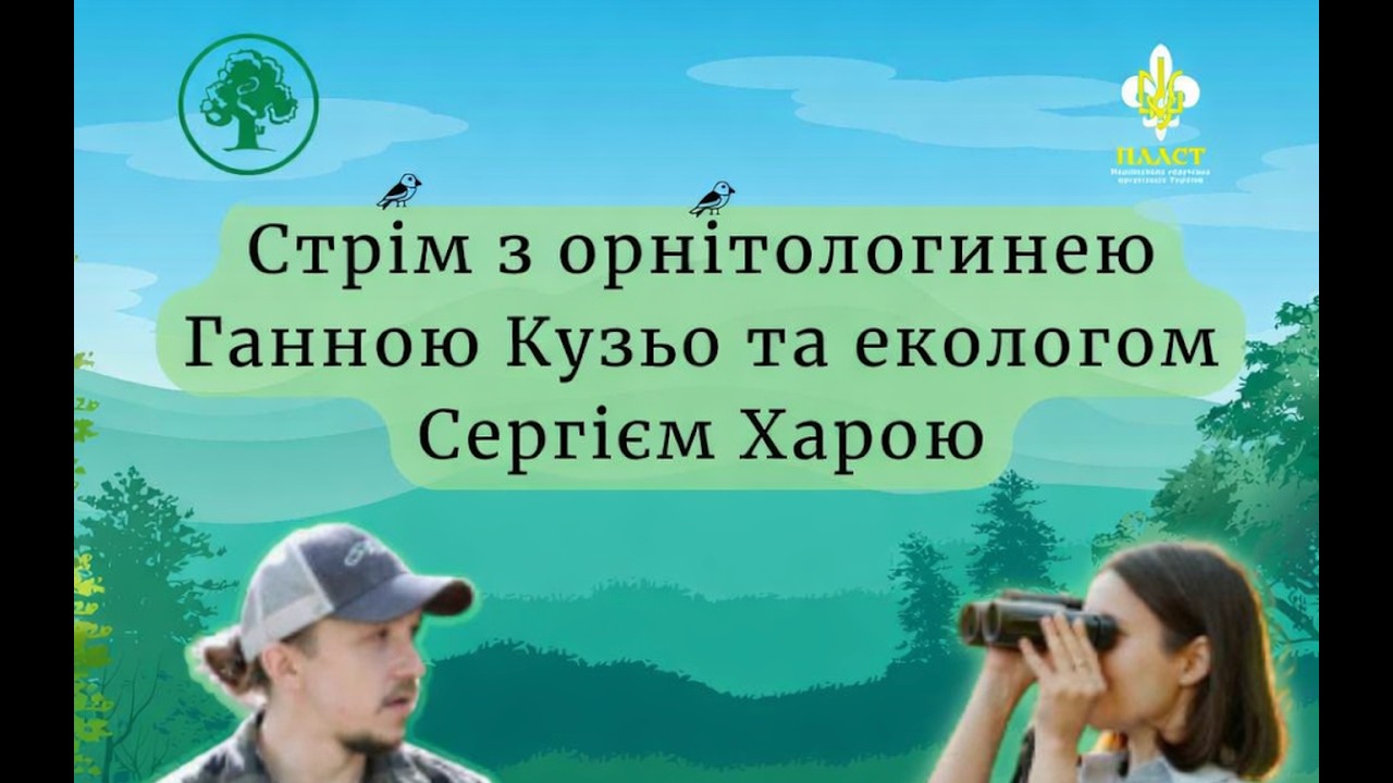 ПТАХИ: зимують чи летять у вирій?