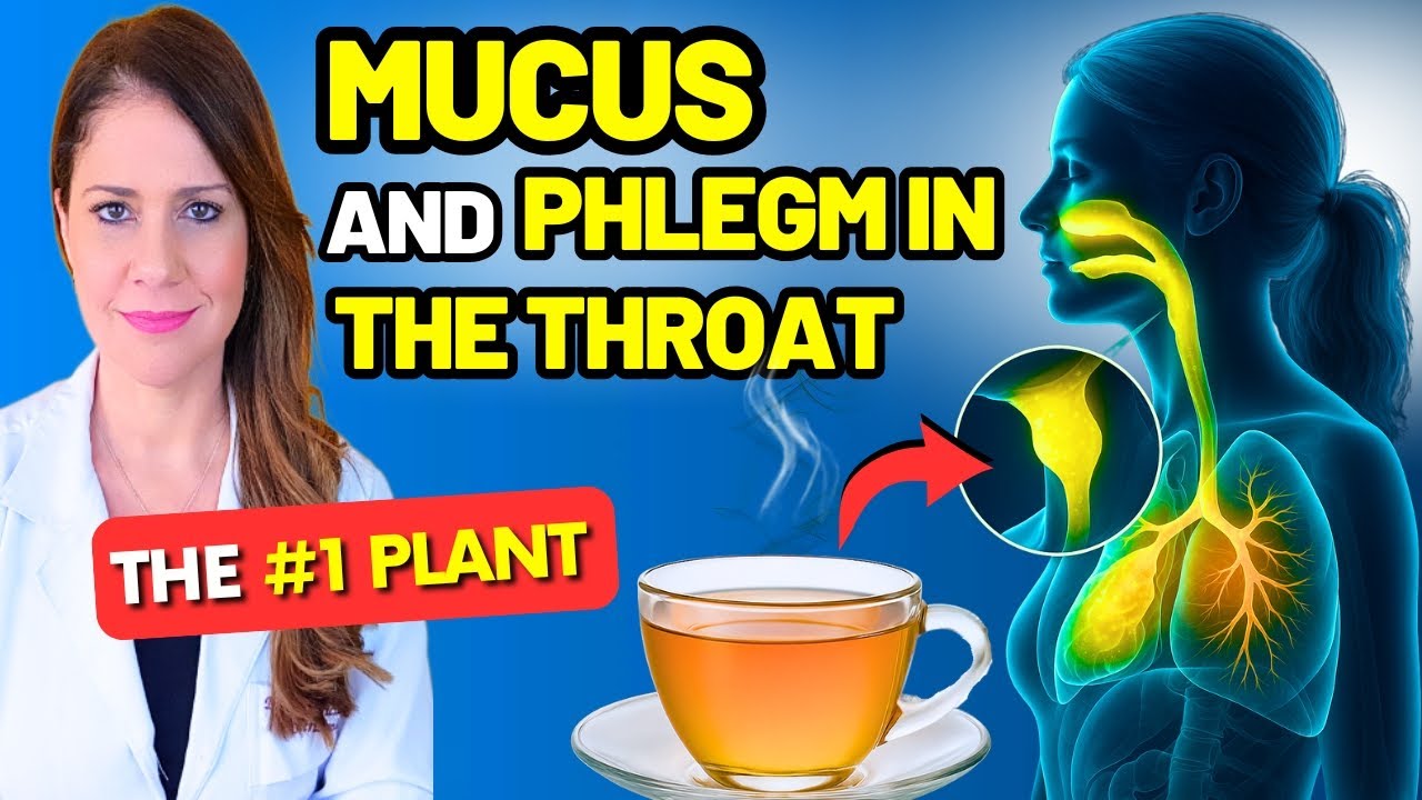 The #1 PLANT for MUCUS and PHLEGM in the THROAT (How to Use it an How It Helps, Science-Based)