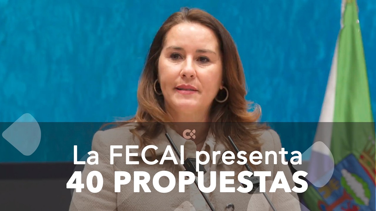 La FECAI presenta 40 propuestas al Decreto Canarias del Gobierno