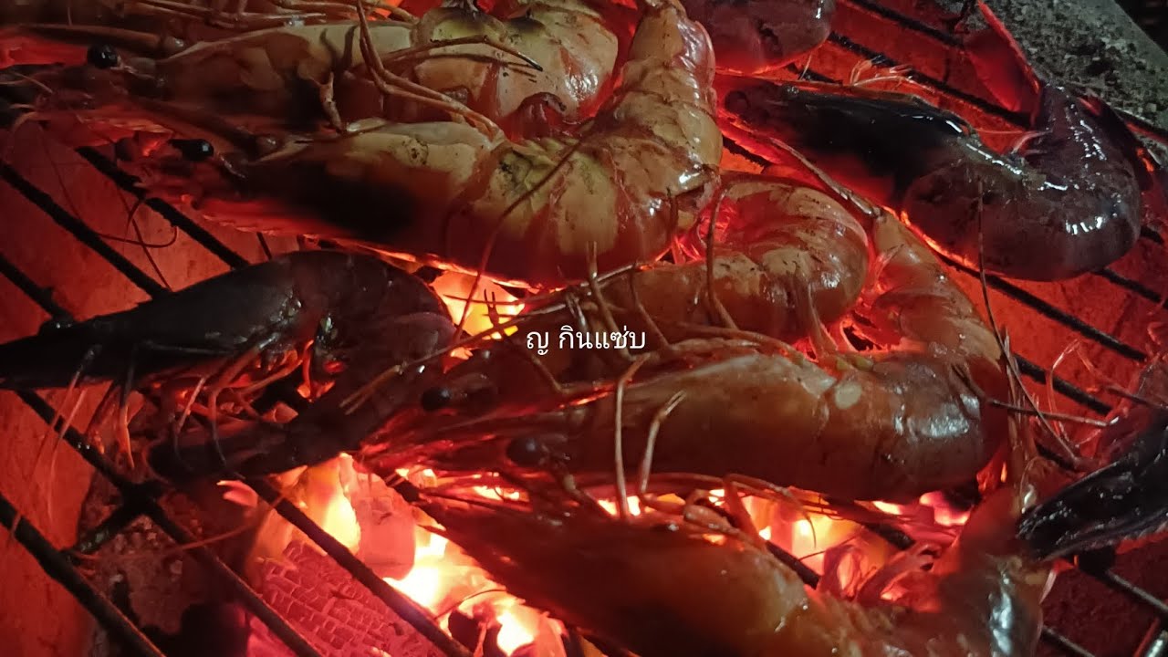 Ep.60  แทงกุ้ง ก็กินกุ้งย่าง