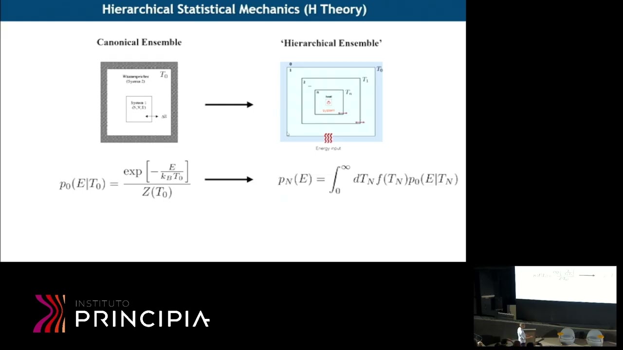 Giovani Vasconcelos: Statistical Mechanics of Hierarchical Complex Systems (H Theory)