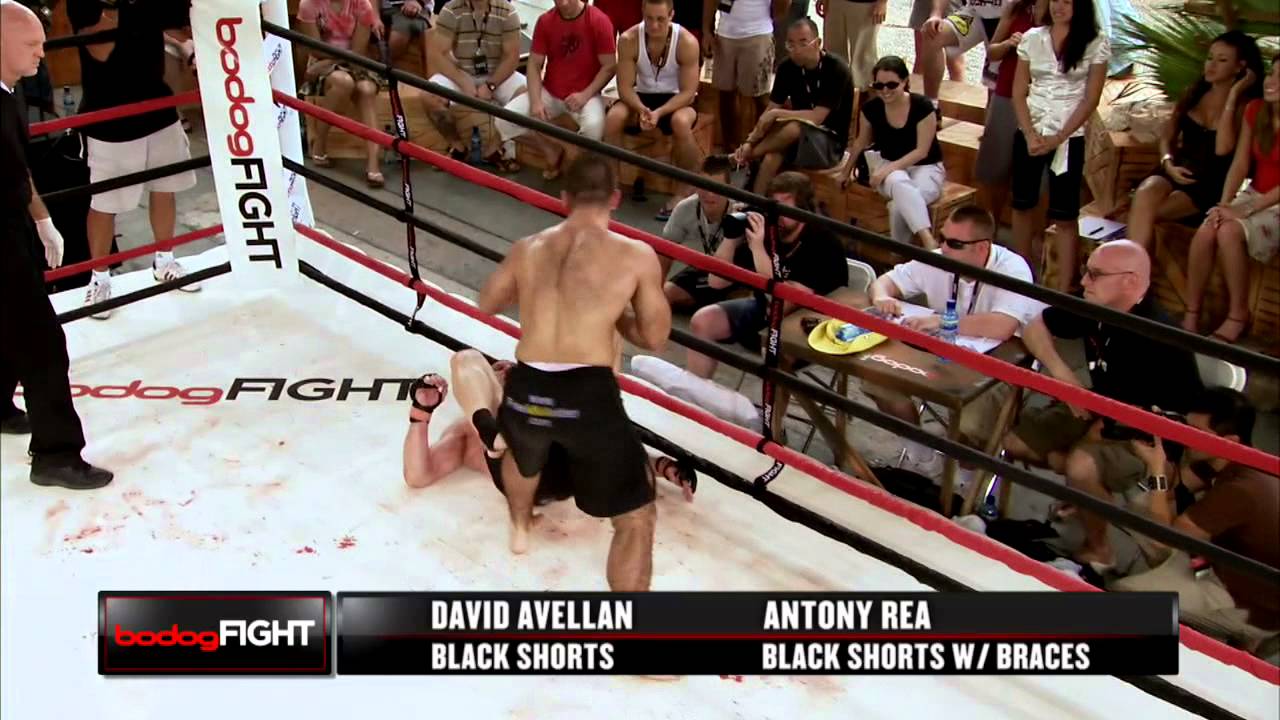 David Avellan vs Antony Rea MMA Fight (HD)