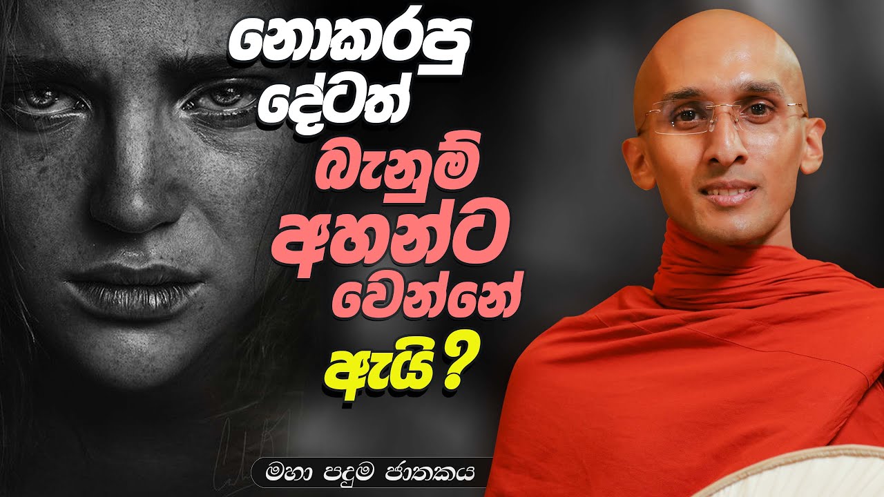 252. නොකරපු දේටත් බැනුම් අහන්ට වෙන්නේ ඇයි? | මහා පදුම ජාතකය | 2024-02-04