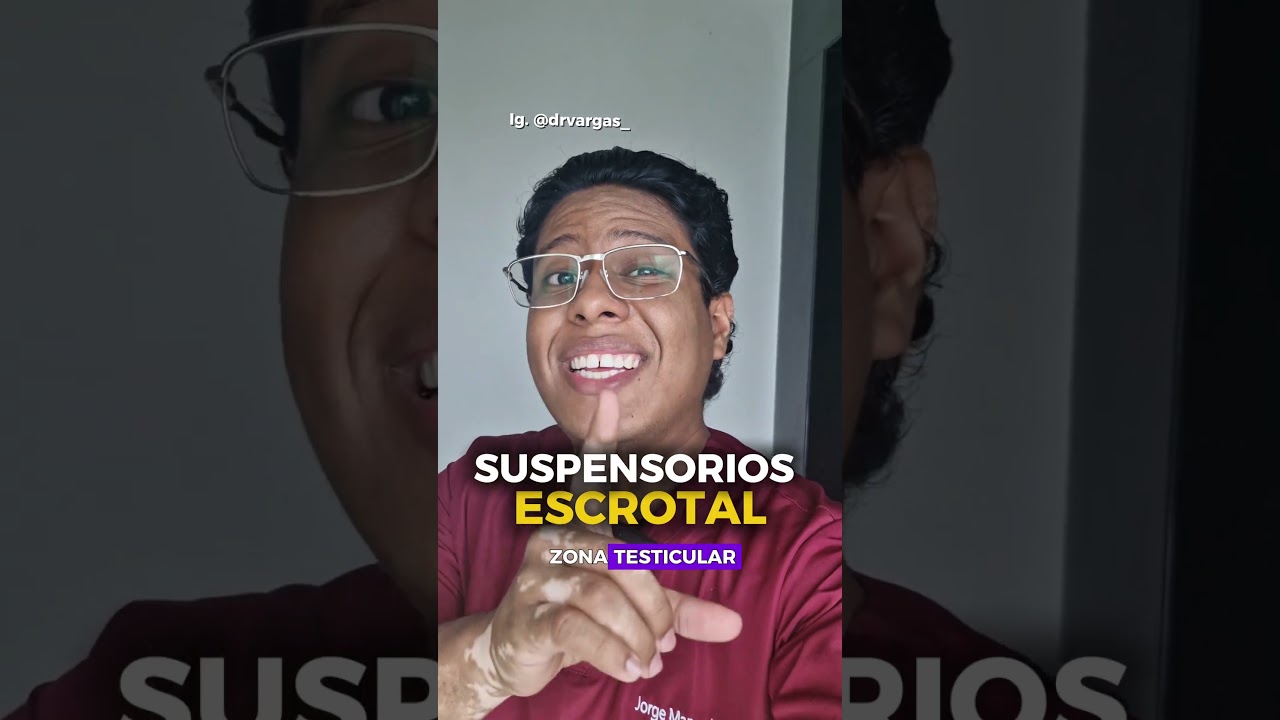 ✨️SUSPENSORIO TESTICULAR✨️