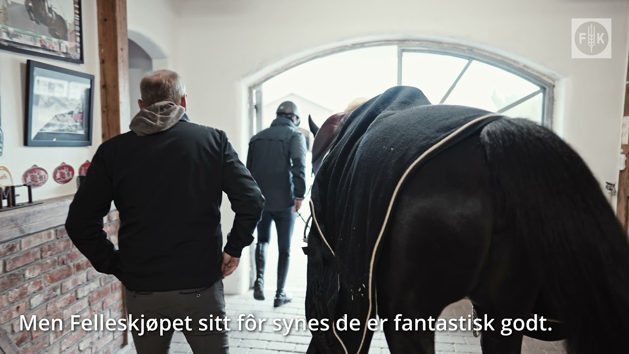 Stall Gulliksen
