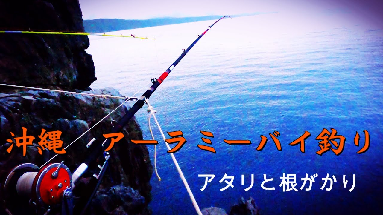 沖縄　アーラミーバイ釣り　アタリと根がかり