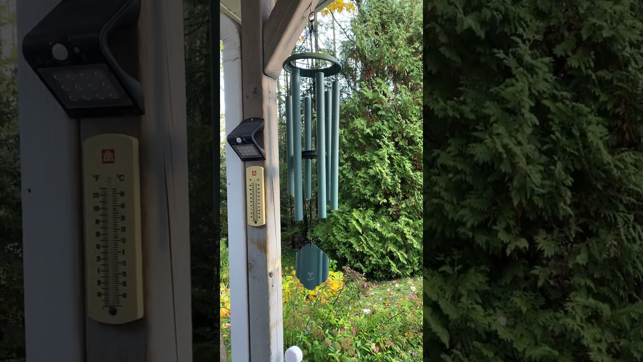 Morning wind chimes