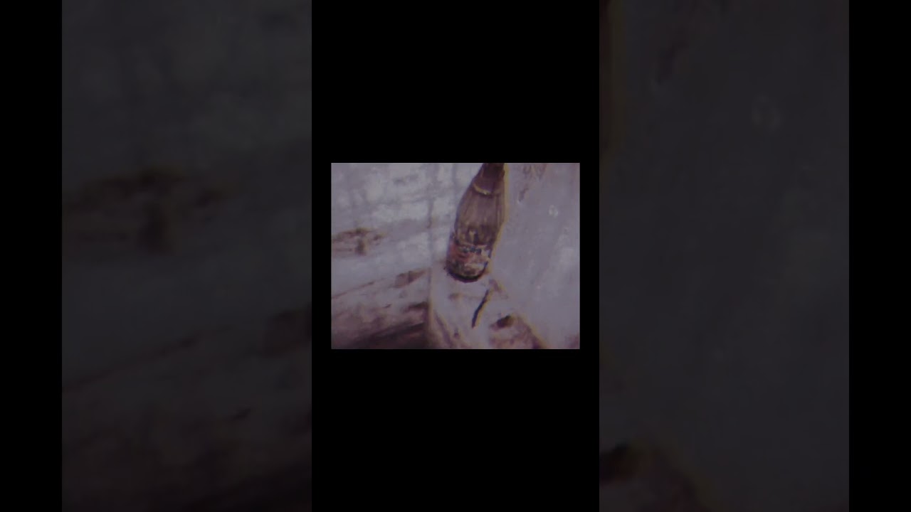 low quality videos #musicvideos #analogvideo #vaporwave