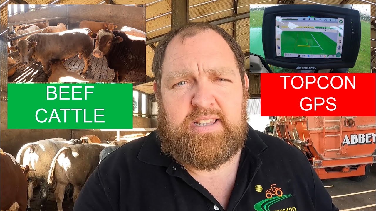 TOPCON XD GPS, BEEF CATTLE, SHED WASHING AND CATCHUP