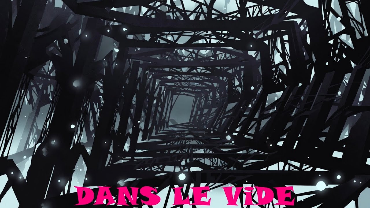 DANS LE ViDE