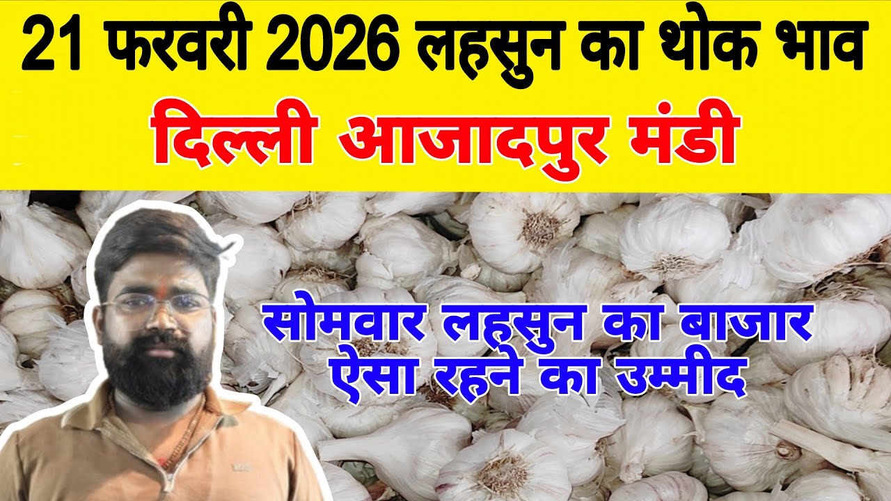21 Feb 2026 | Today Garlic Market Price | Garlic Price The Shocking Prediction #mandirates #garlic