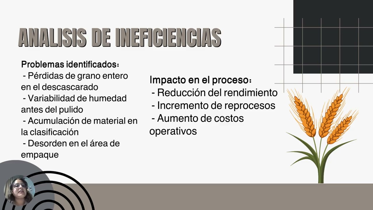 Representación gráfica y mejora continua del proceso de producción de arroz