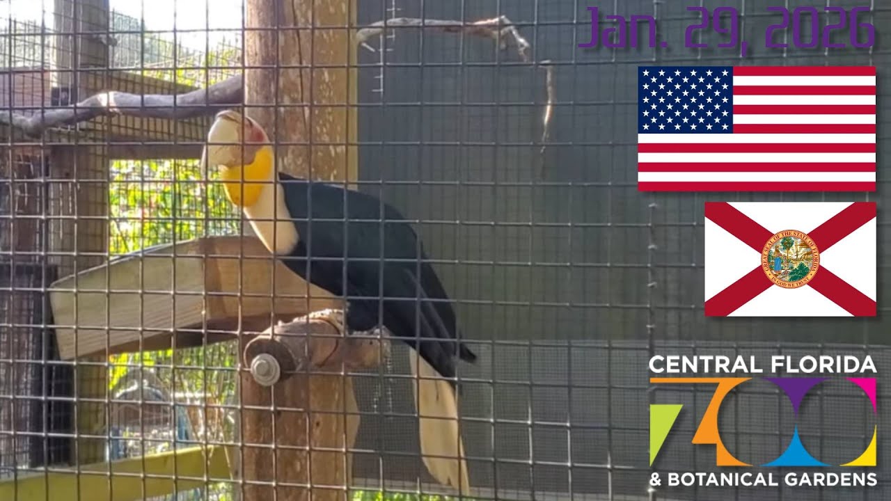 Quick Browse Around Central Florida Zoo and Botanical Gardens! 『Sanford, FL』| 1/29/26