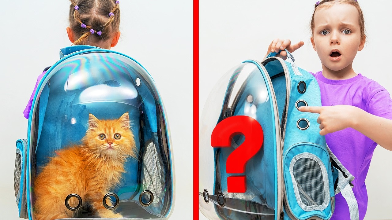 Dasha sucht ihre vermisste Katze 🐱 Spannende Abenteuer für Kinder | Vania Mania DE