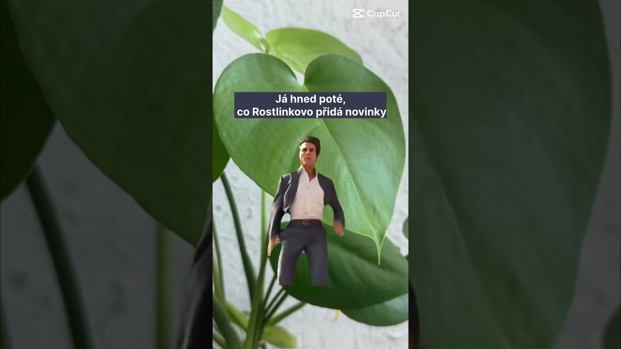 Novinky, kter&eacute; potě&scaron;&iacute; každ&eacute;ho milovn&iacute;ka rostlin 🌱