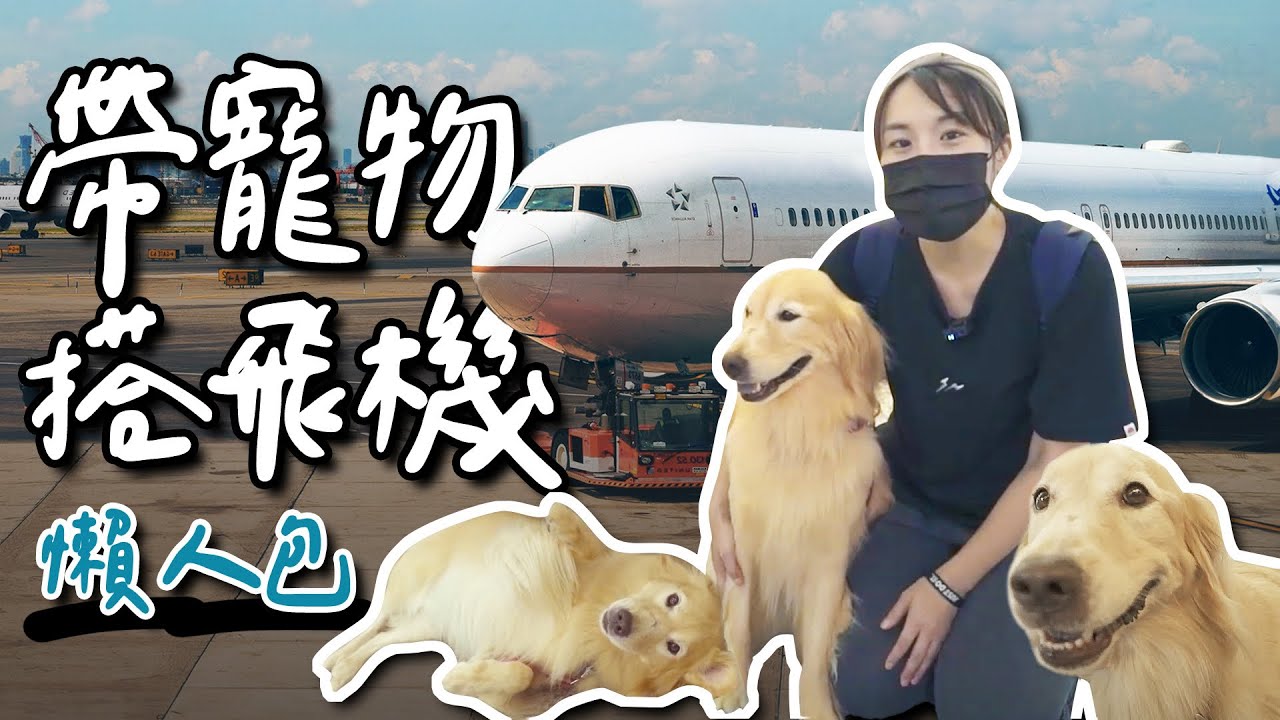 出國帶毛小孩搭飛機！總花費、出關手續懶人包！｜根本在旅行