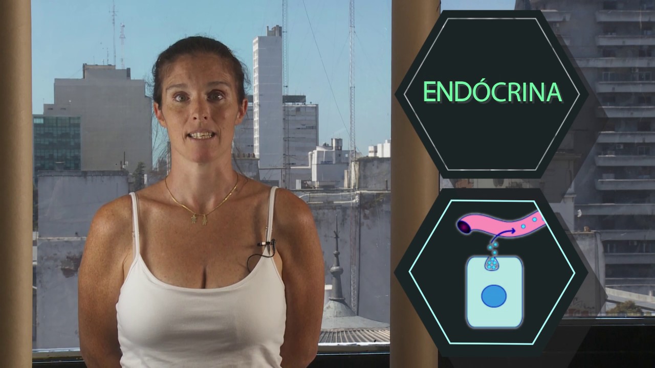 FISIOLOGÍA: Sistema Endocrino