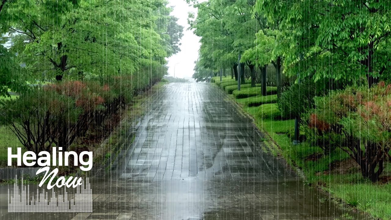 Засыпайте быстрее под звуки дождя в парке с очаровательной атмосферой. Звуки природы для сна