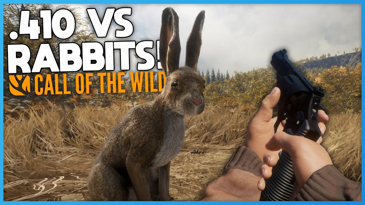 .410 VS Rabbits! | theHunter: Call Of The Wild