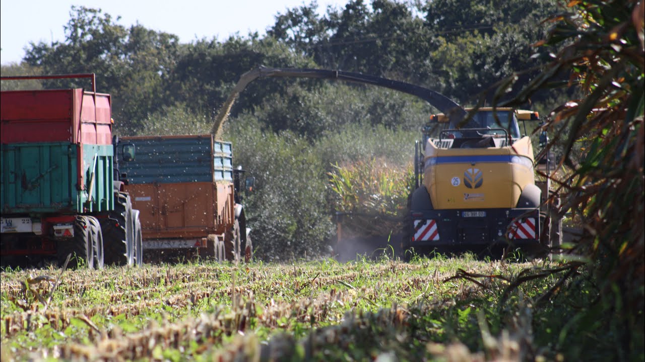 😍ETA CUZIAT GOURIO EN ACTION 😍| ENSILAGE 2023🤩🌽