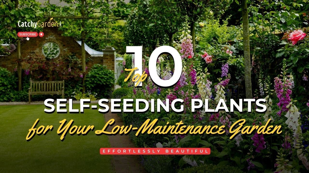 Effortlessly Beautiful: 10 Self Seeding Plants for Your Low Maintenance Garden 🌻🏡🌷