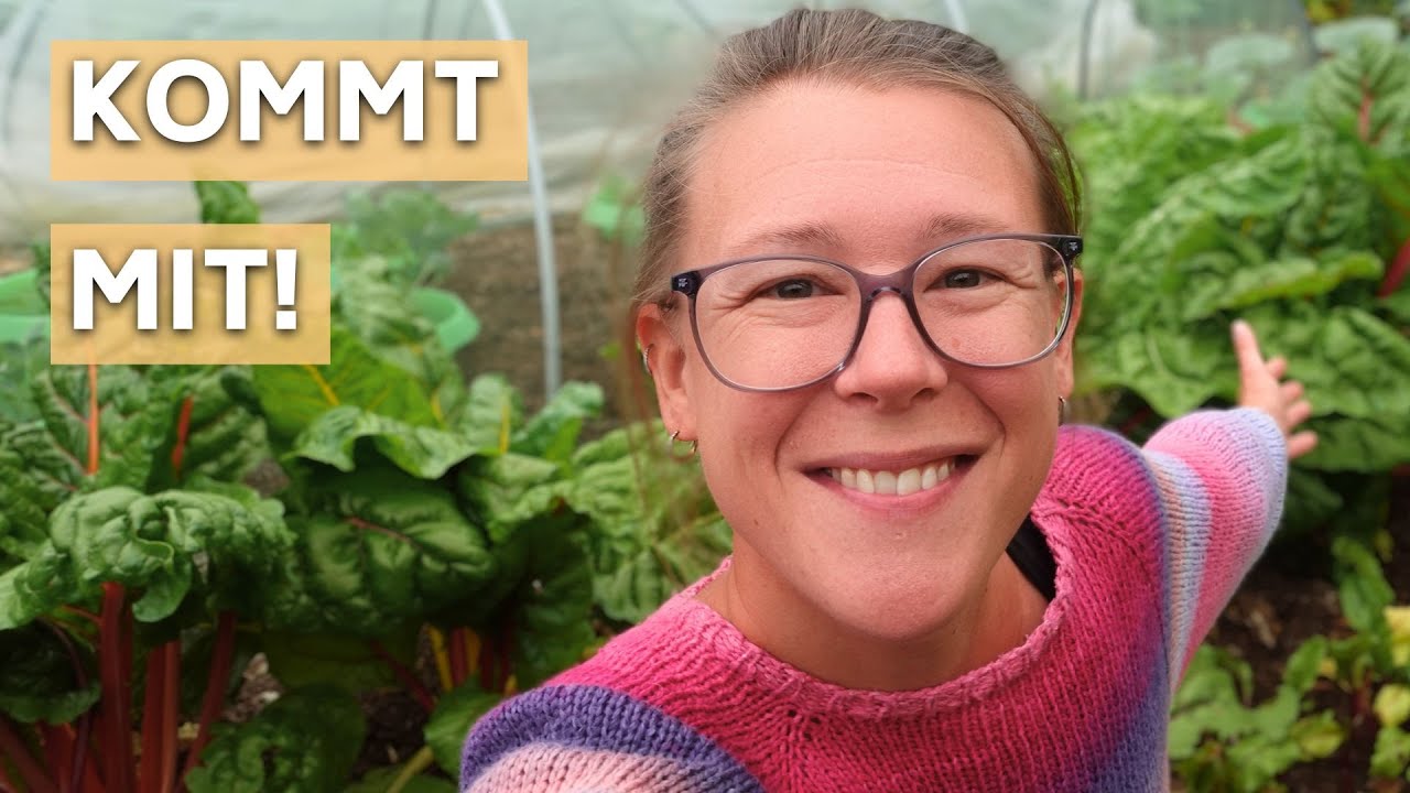 Gartenrundgang August 🍅  Was in meinem Gemüsegarten jetzt wächst & gedeiht I Der Spätsommer kommt