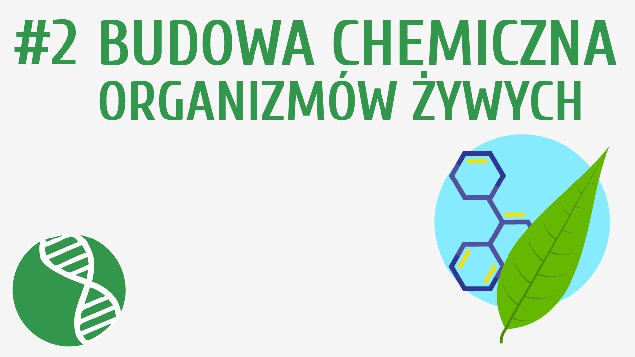 Budowa chemiczna organizmów żywych #2 [ Organizacja i chemizm życia ]