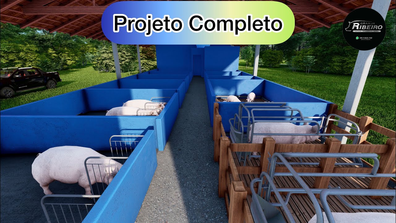 Lançamento! Projeto Para 10 Porcas e 1 reprodutores.