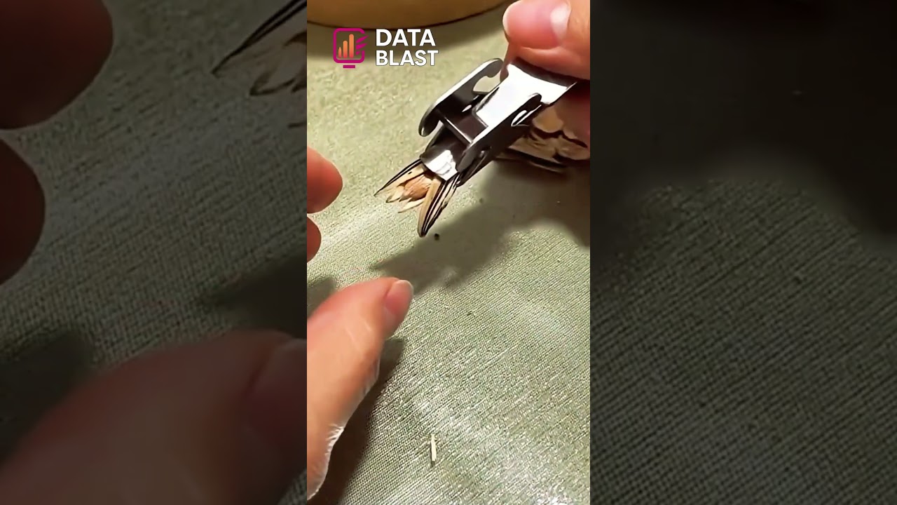 Single Hand Nut Cracker Tool! Super Satisfying ASMR #shorts