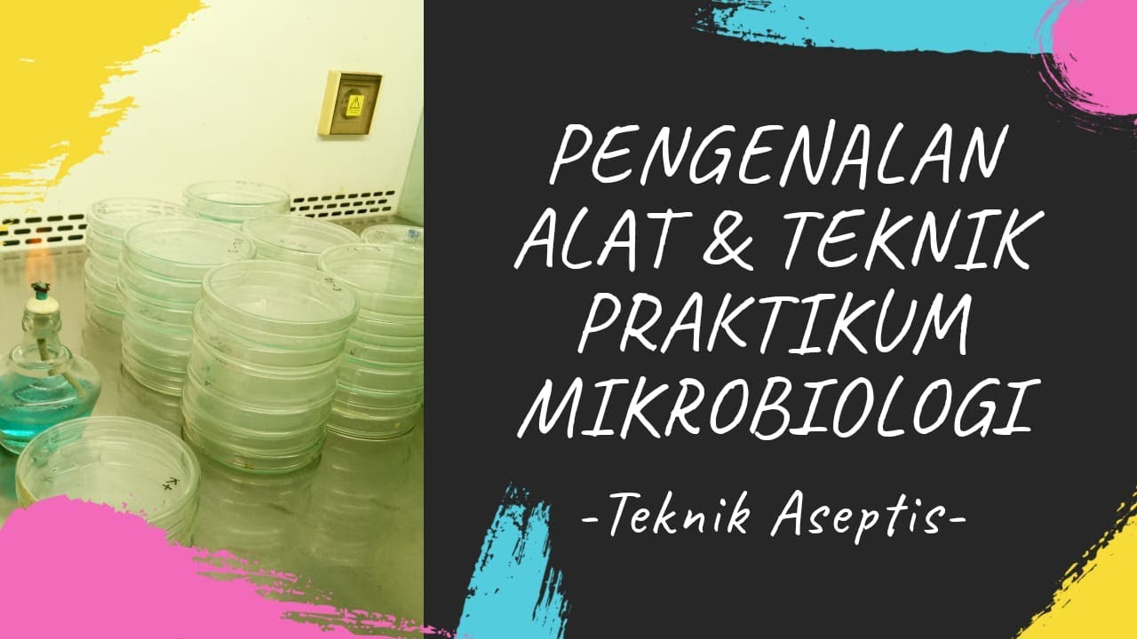 Pengenalan Alat Mikrobiologi/Teknik Aseptis/Lab Mikrobiologi/Alat gelas/Bacterial subculture