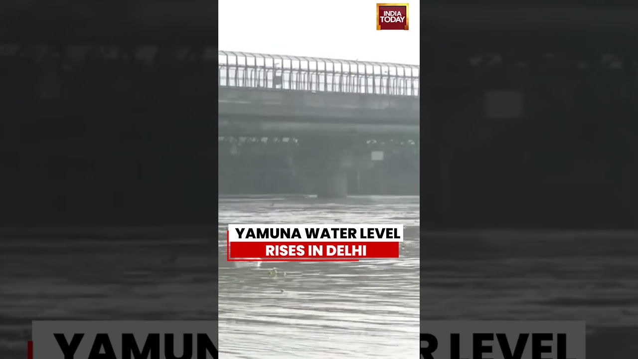 Yamuna Water Level Rises in Delhi #yamuna #waterlevelrise #delhirain #shortsviral