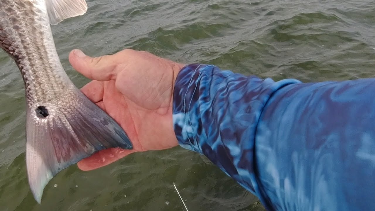 Charleston SC - Fishing for Redfish: Dock vs Boat on the Wando River