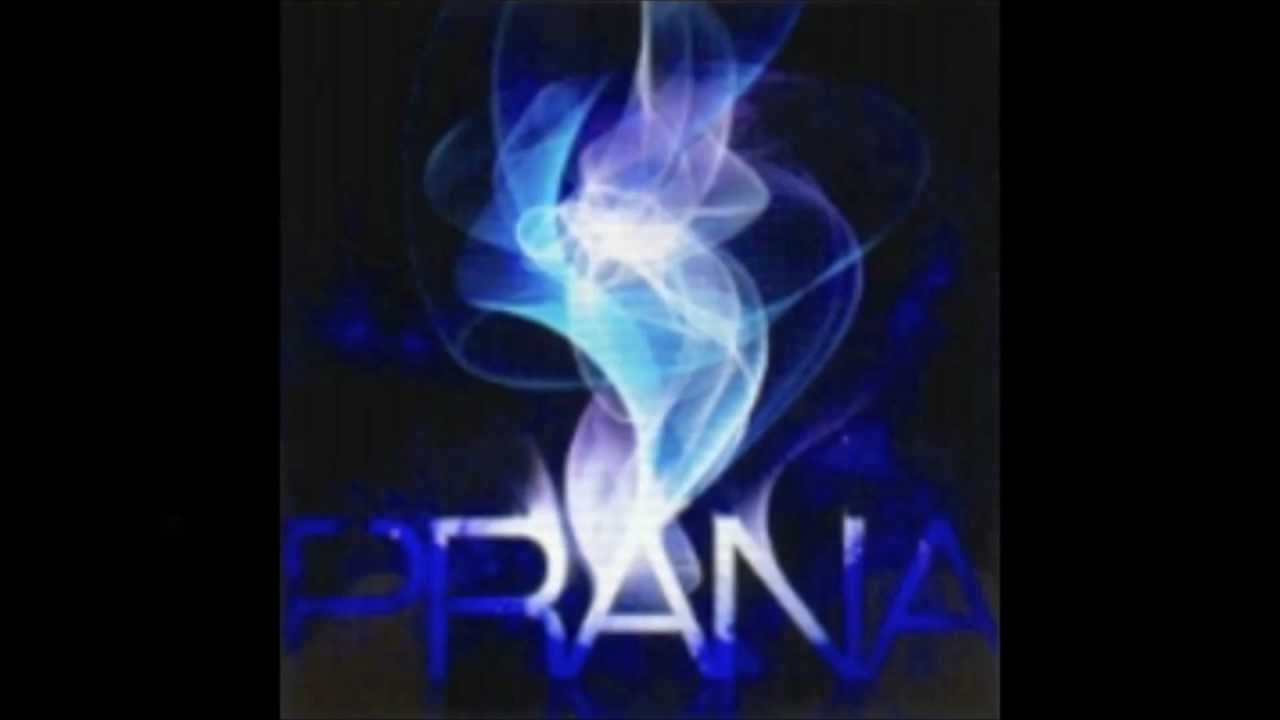 【jubeat saucer】PRANA 音源