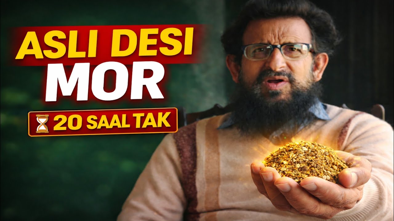 Ustad Ka Asli Desi Mor – Itna Sasta Ke Yaqeen Nahi Aayega | 20 Saal Tak Kharab Nahi