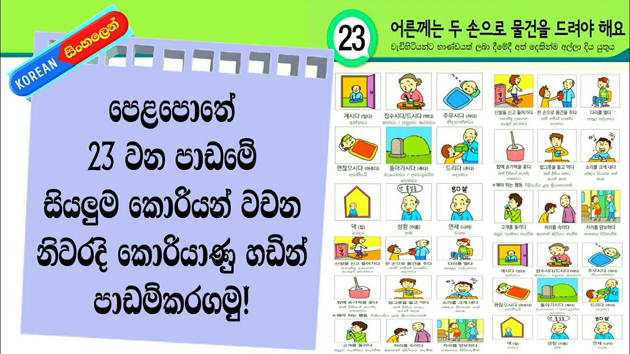 Learn Korean Words in Sinhala: Eps Topik Book Lesson 23: Korean Language for Beginners: කොරියන් වචන