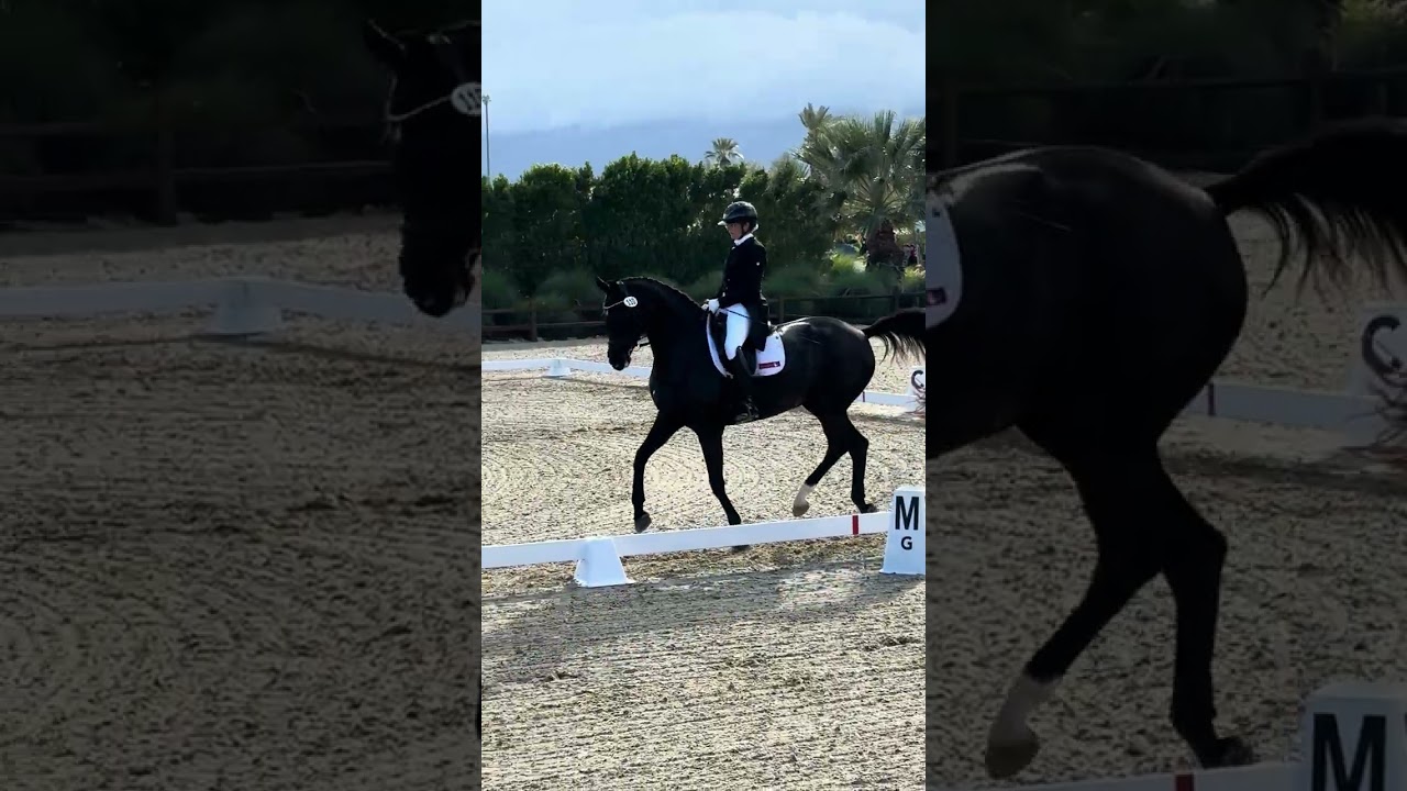 Limited Edition and Jaclyn Pepper nov 2025 72% Grand Prix test