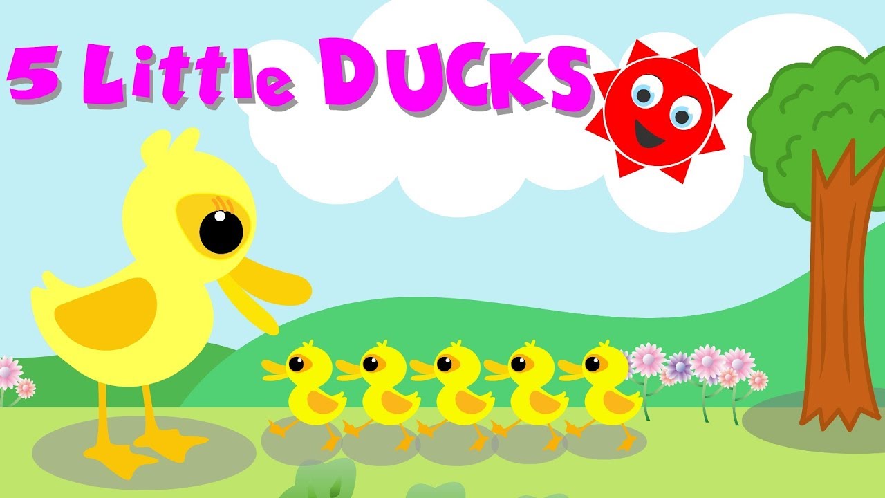 5 LITTLE DUCKS | POPULAR NURSERY RHYMES | FIVE LITTLE DUCKS LYRICS