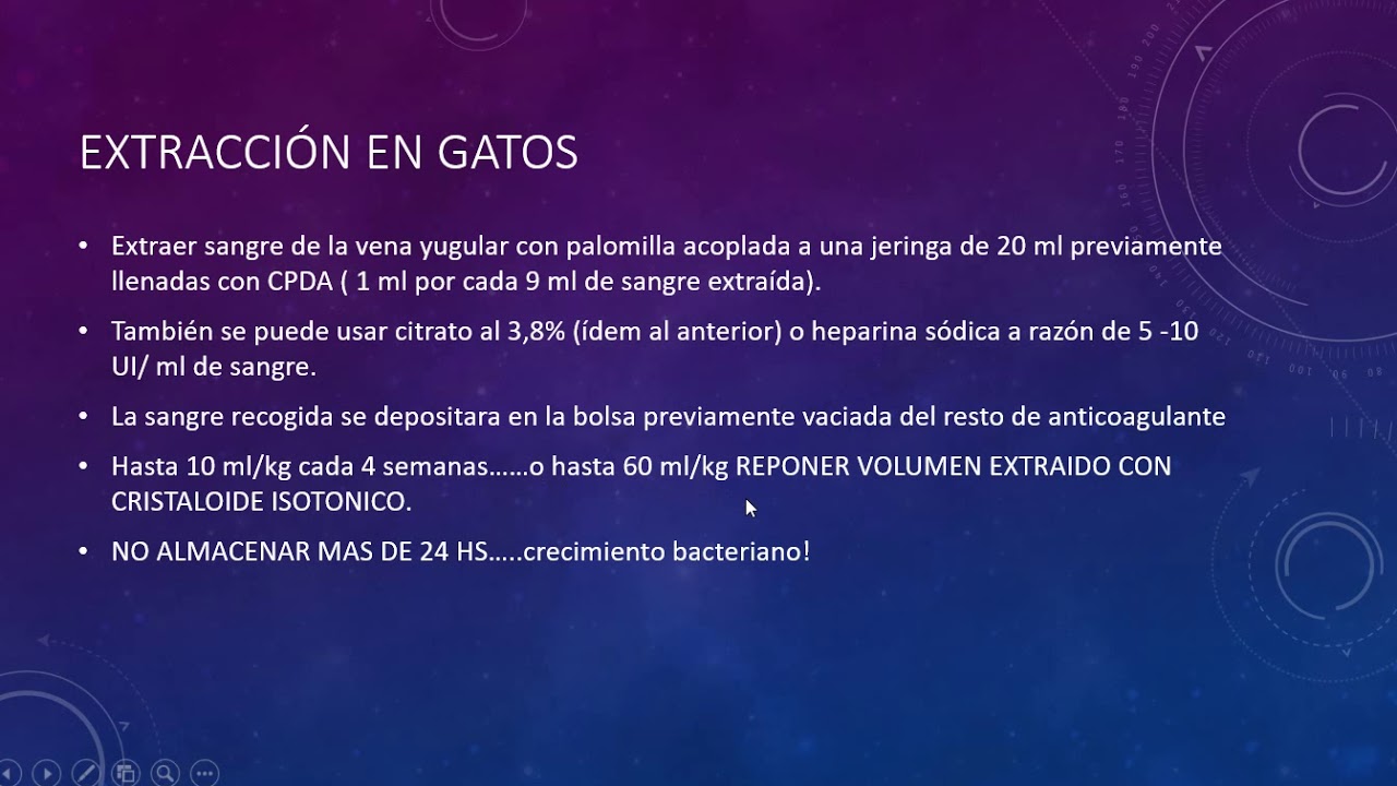 Transfusión sanguínea en perros y gatos. Segunda parte