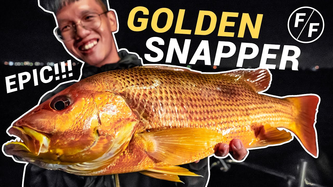 EPIC Golden Snapper Offshore Fishing in Singapore! | Facepalmfishing