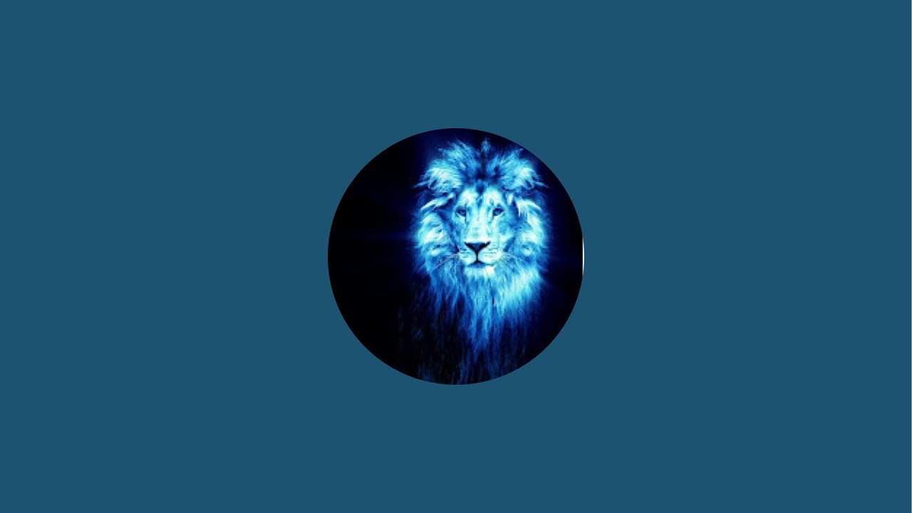 David USA  is live!