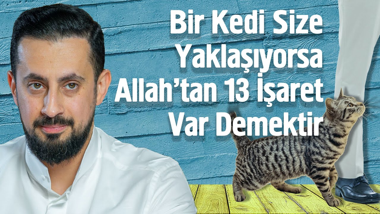 Bir Kedi Size Yaklaşıyorsa Allah'tan 13 İşaret Var Demektir -Nakış Aynası| Mehmet Yıldız@Hayalhanem