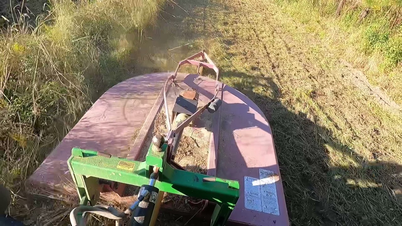 Bushhogging, discing and planting a food plot all in same evening