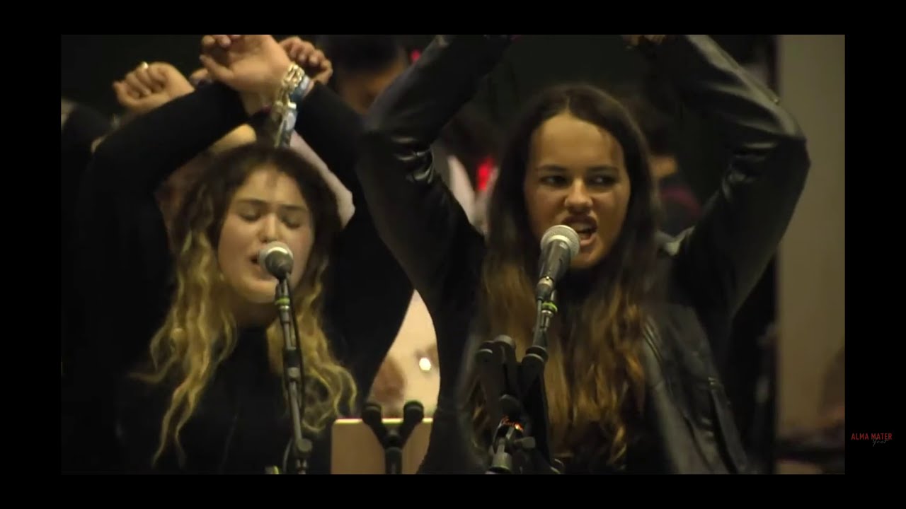 Another Brick in the Wall // Pink Floyd // Alma Mater Fest