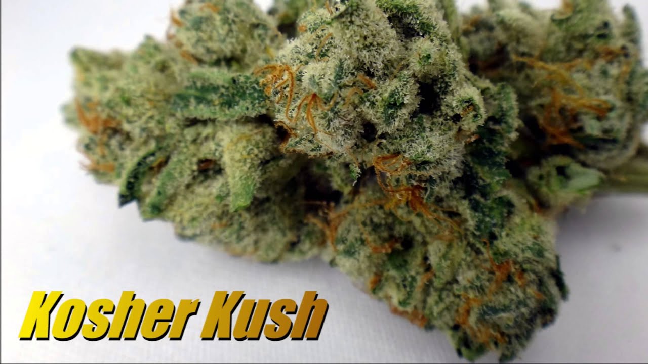 PV's Re-Up & MicroBlast: Alien x Wifi - Kosher Kush - Platinum Bubba Kush @ SDPA (HD)