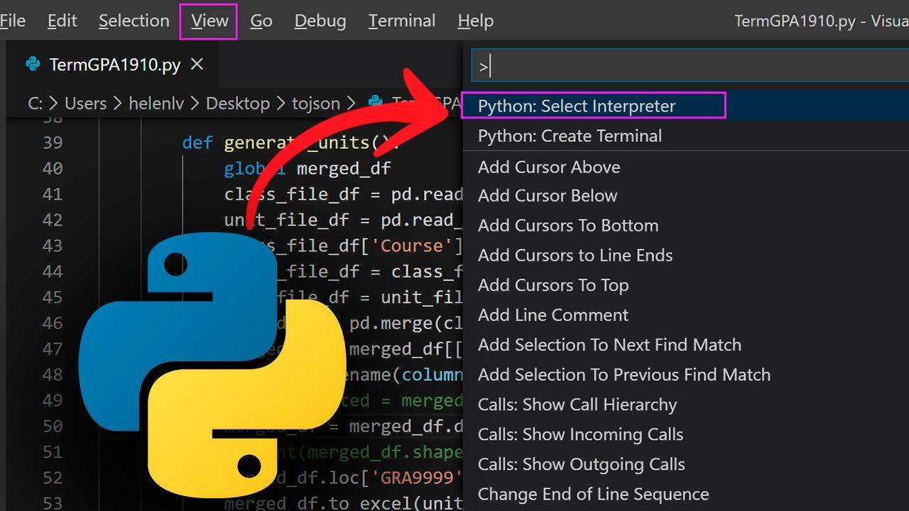 C&oacute;mo Ejecutar un Archivo Python en Visual Studio Code (PASO A PASO y SIN ERRORES)