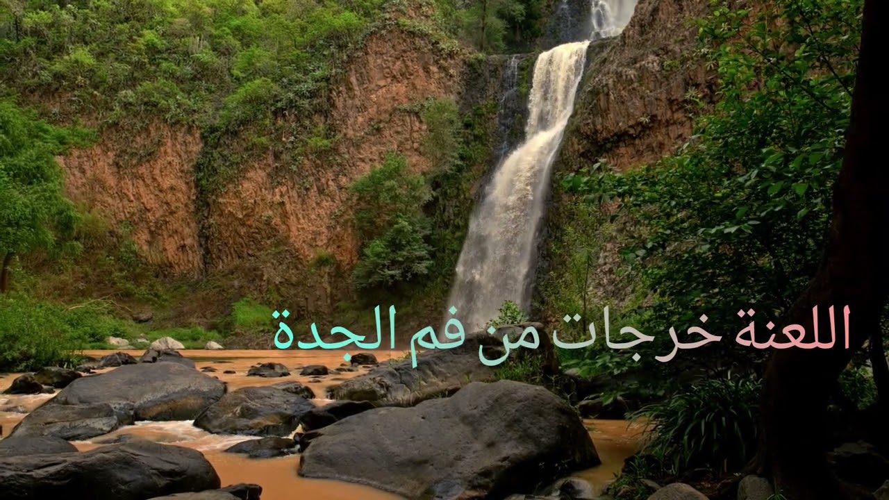 2️⃣ كلمة قالتها جدة… وبدلات مصير عائلة كاملة