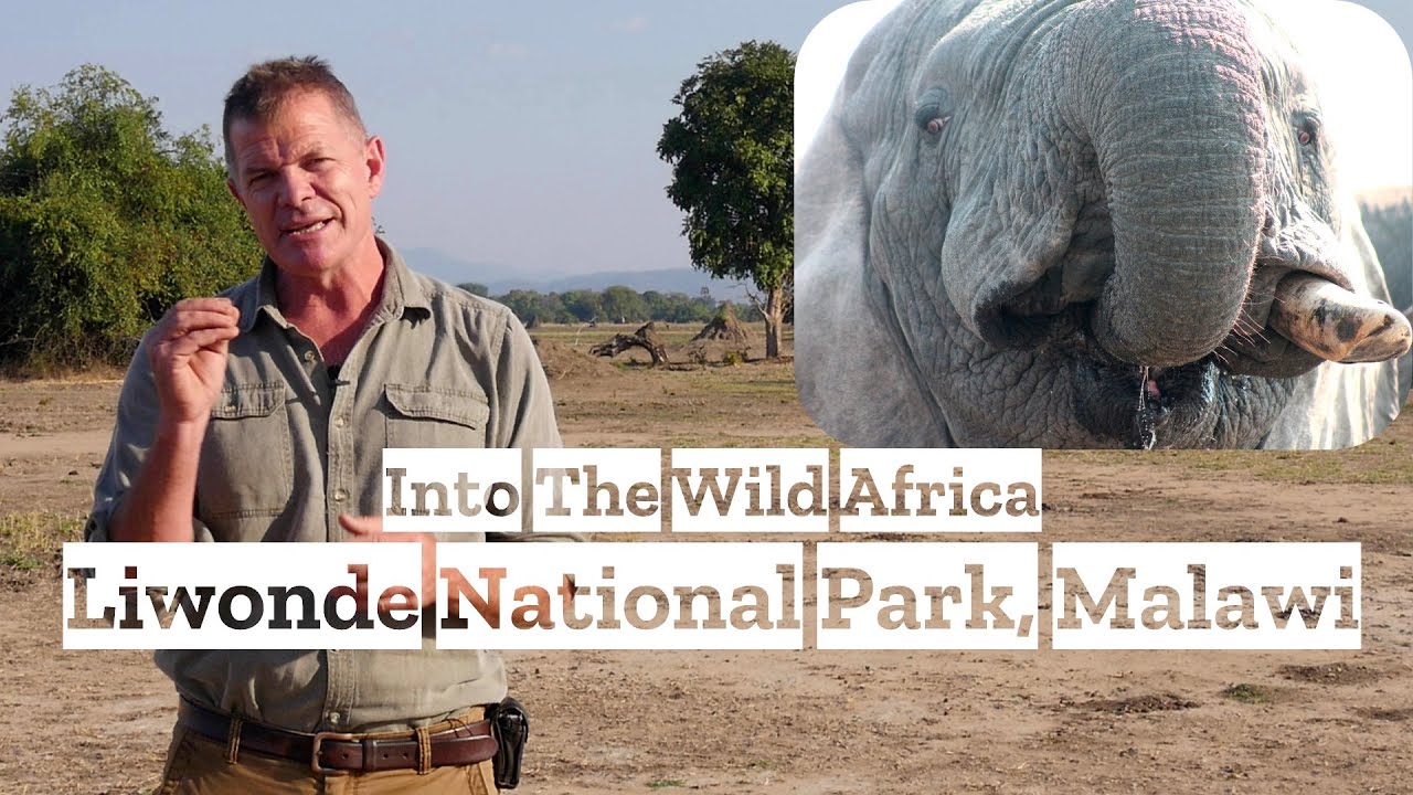 Into the Wild Africa: Liwonde National Park (Malawi)