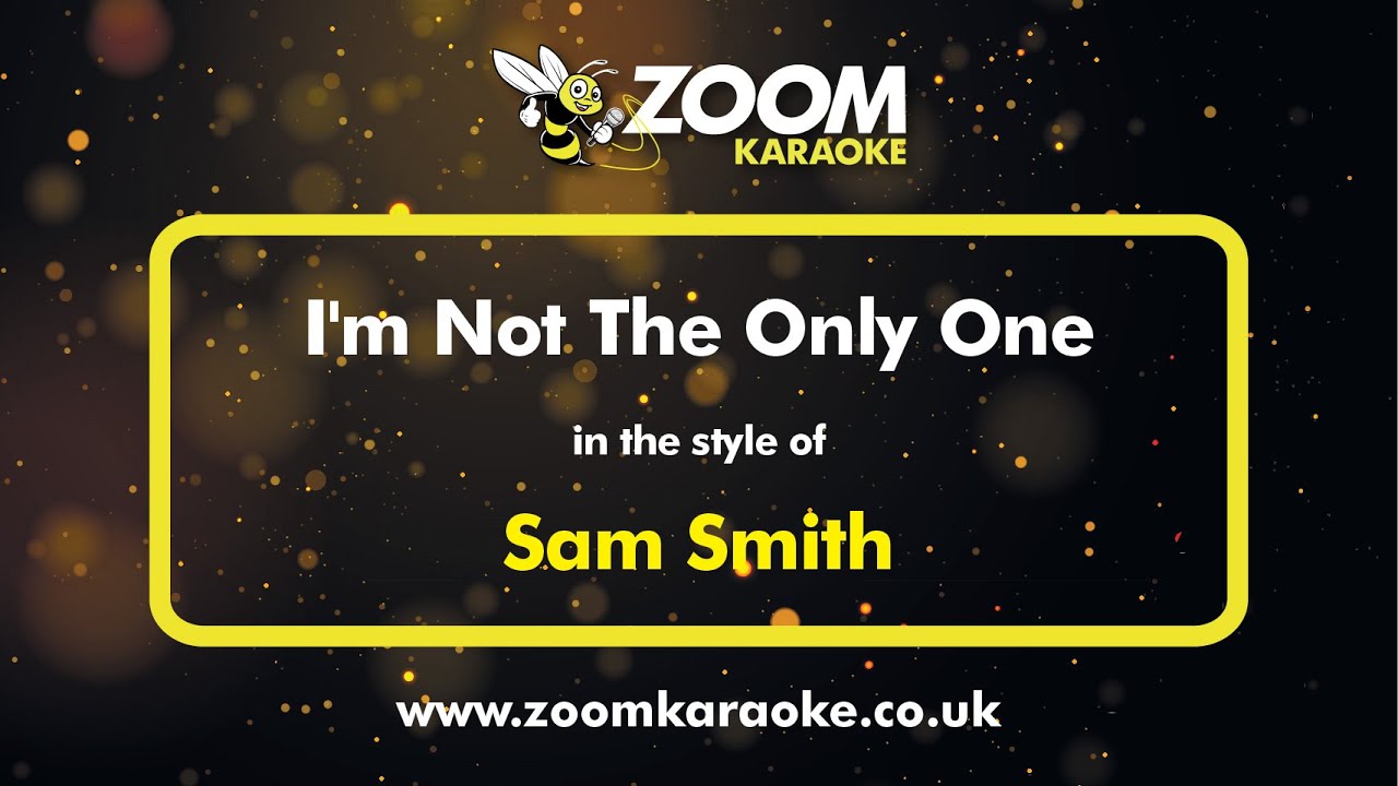 Sam Smith - I'm Not The Only One - Karaoke Version from Zoom Karaoke