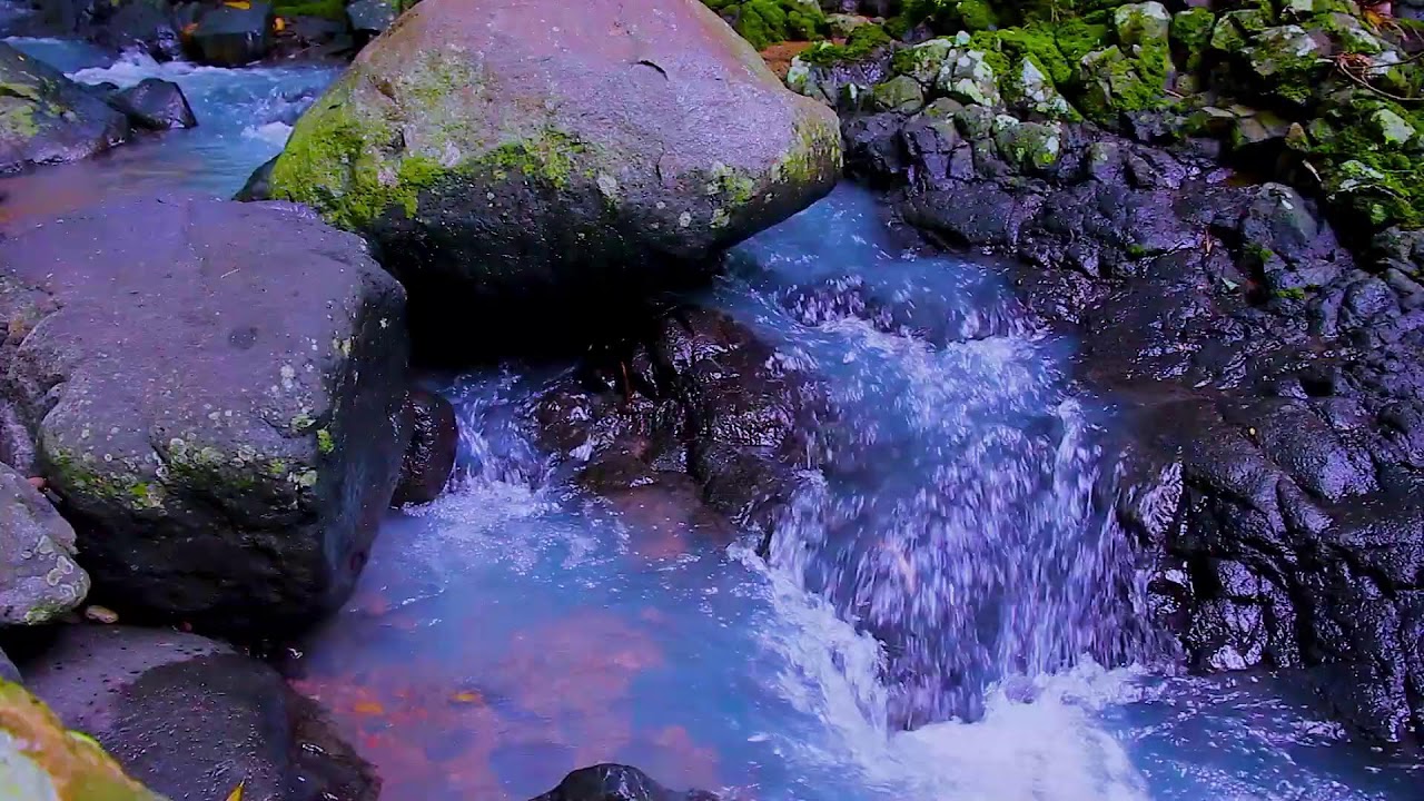 Gentle Mountain River Flowing Sounds for Meditation and Mindful Focus