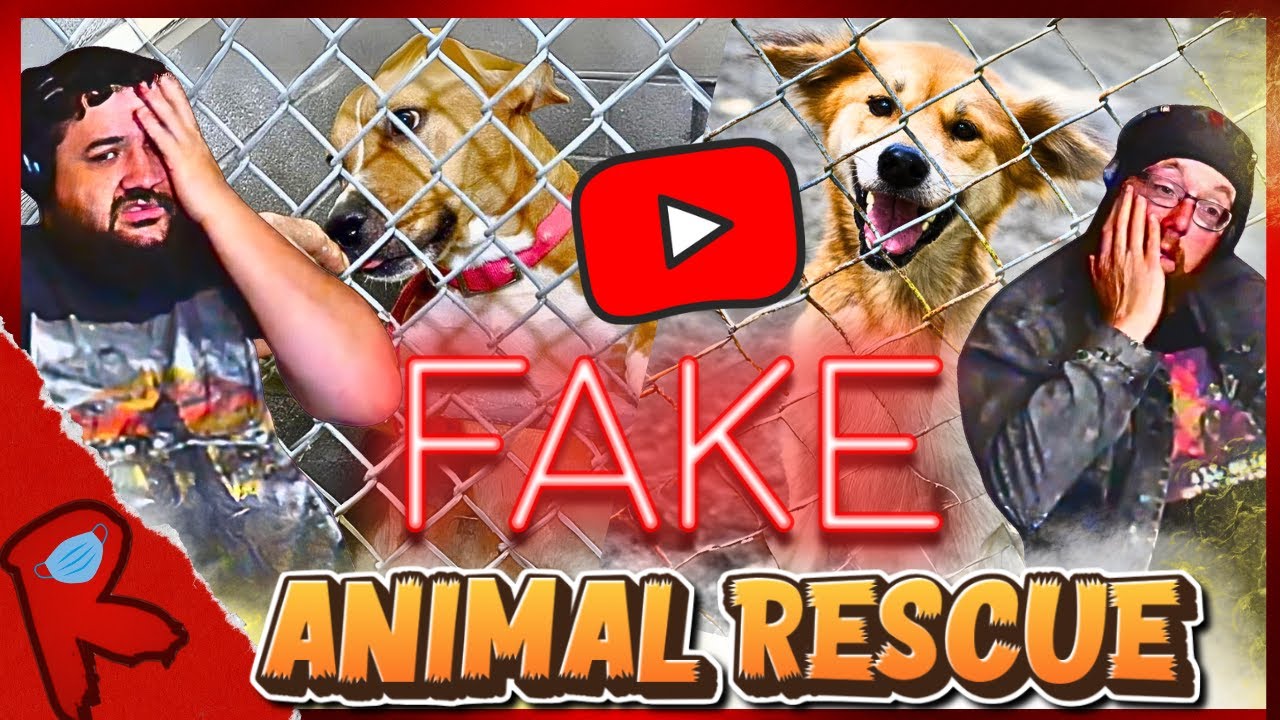 YouTube's Fake Animal Rescue Channels - @NickCrowley | RENEGADES REACT